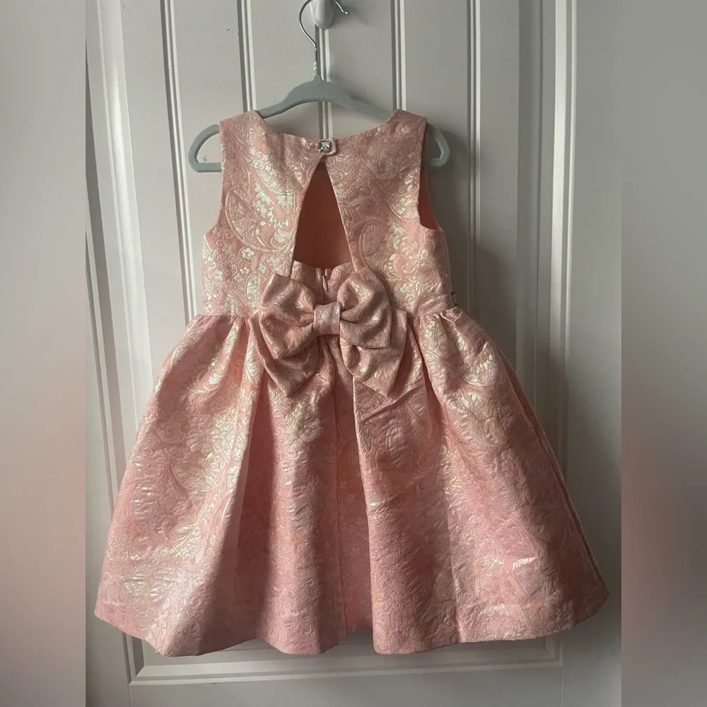 Bonnie Jean Blush Pink Embroidered Dress Size 4T Like new condition